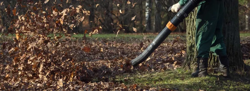Seasonal cleanup